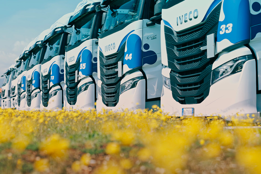 Pizeta Express - Pasqua 2026